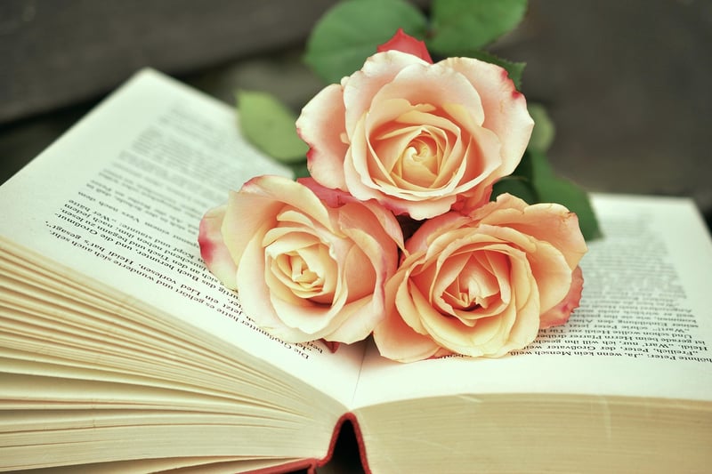 Non-Fiction Reads